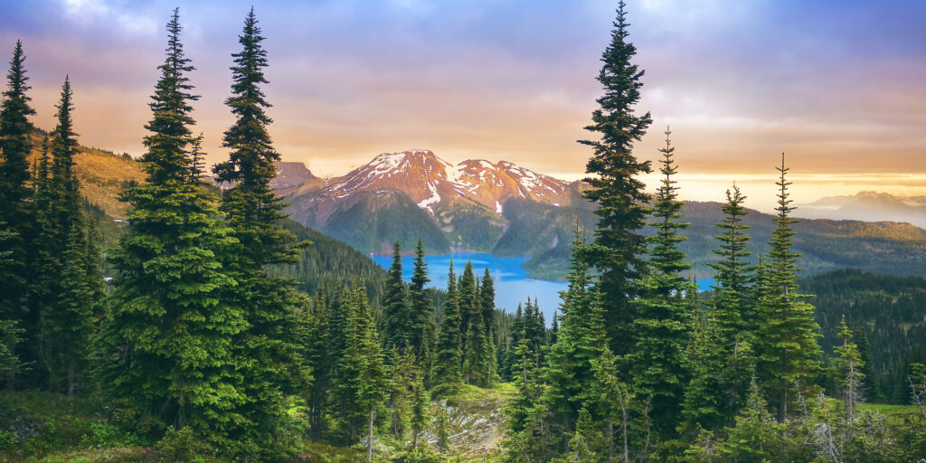 Paysage canadien avec sapins, lac et rocheuses enneignées