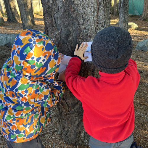Des élèves prennent l'empreinte d'un tronc d'arbre dans contexte d'art et interdisciplinarité à l'école.