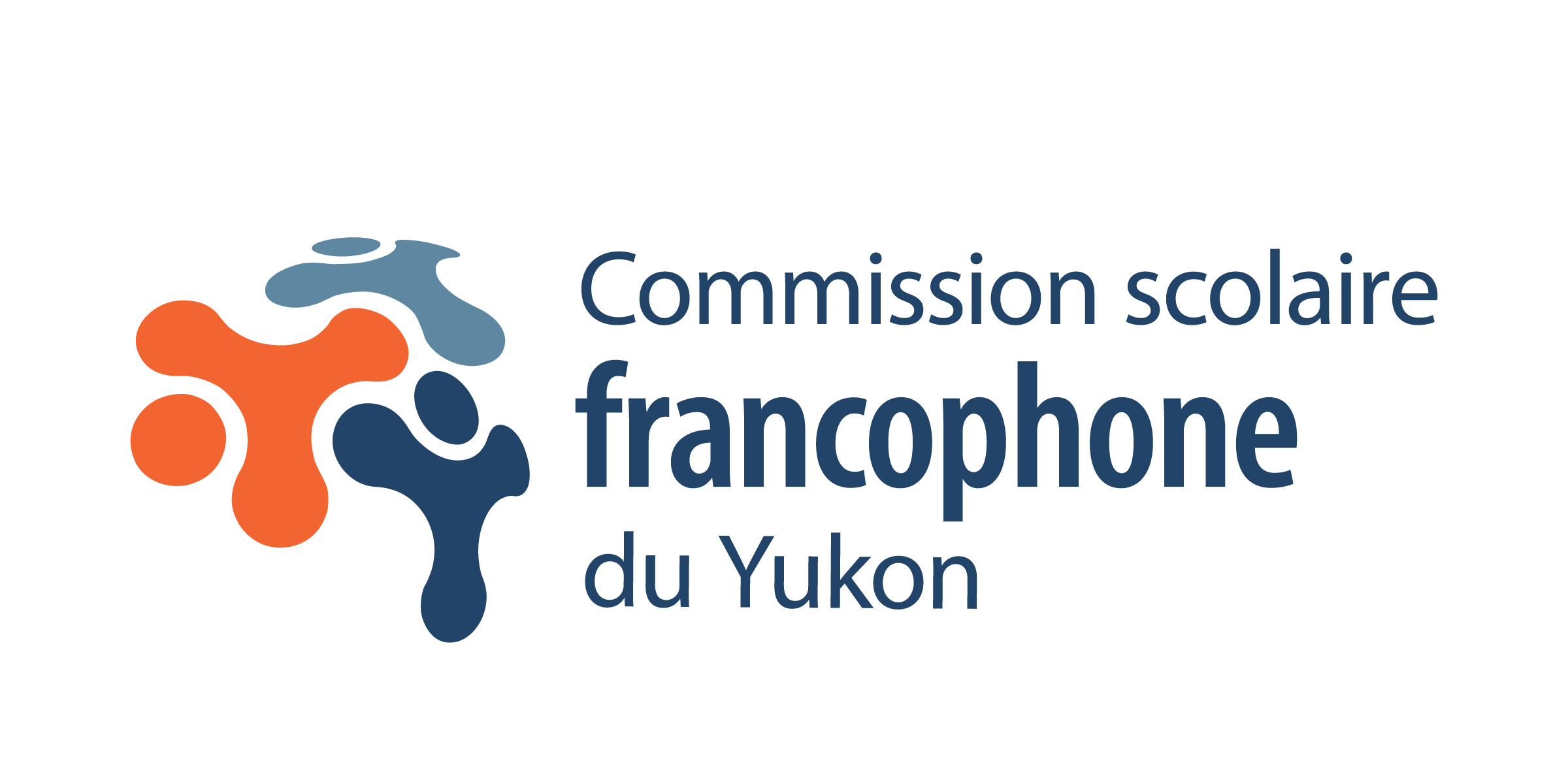 Logo CSFY