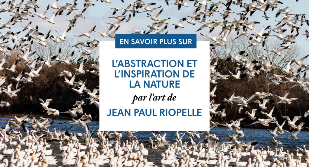 guide pedagogique riopelle couverture medias sociaux