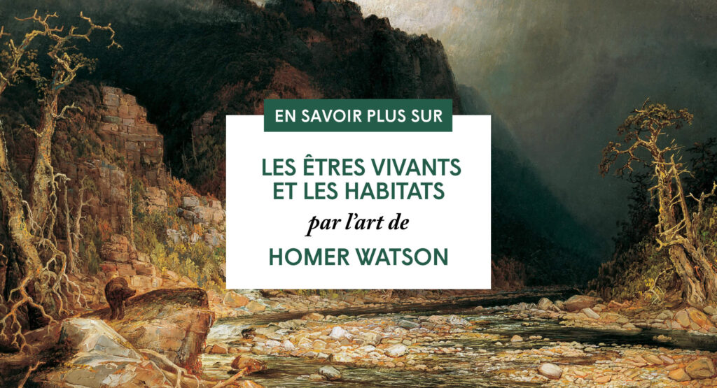 guide pedagogique watson couverture medias sociaux